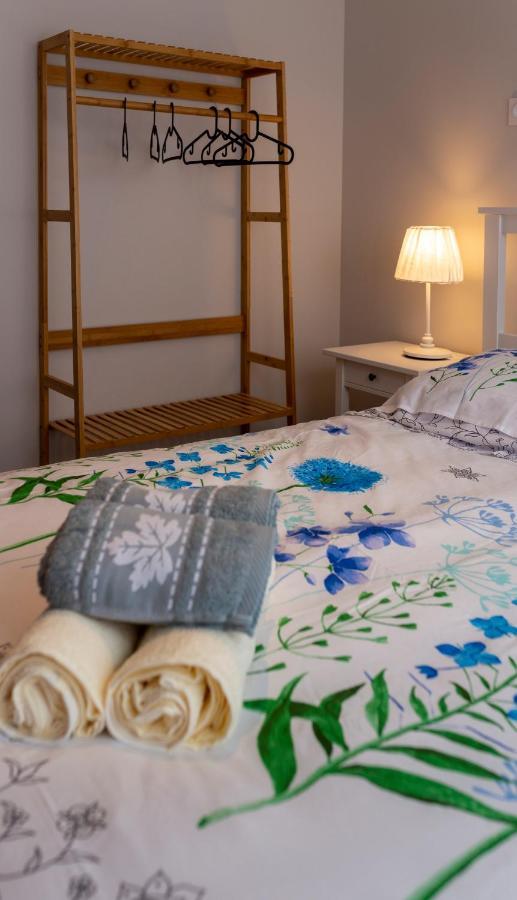 Loc Trotteur Le Fleur Des Champs F2 Cosy, Gare Sncf De Lourdes Appartement Buitenkant foto